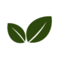 metanoiaseeds.com